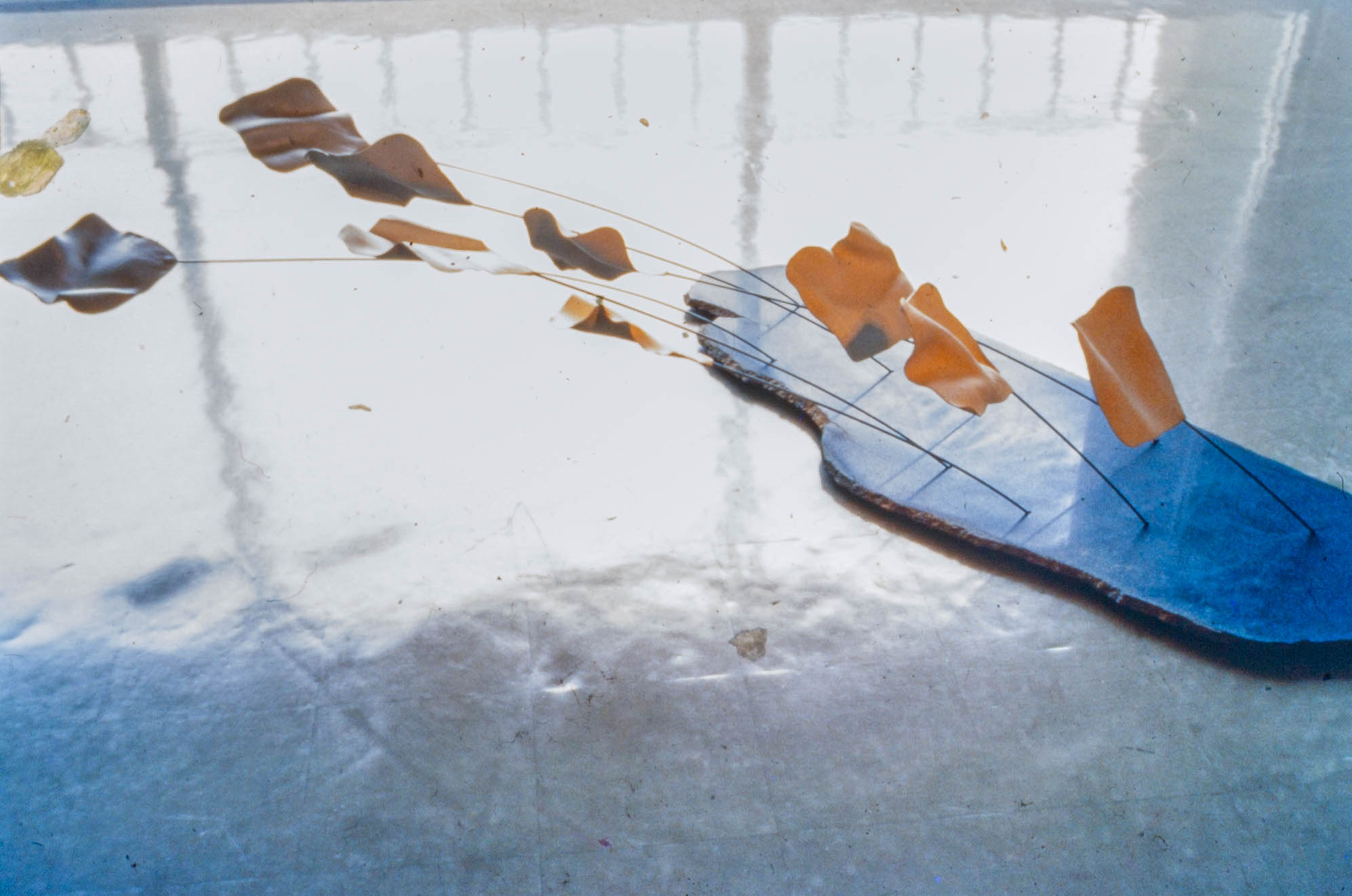 1987_蕭麗虹 Margaret Shiu Tan_作品_飄 Gliding_MST-G-02